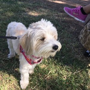 Meet your Posher, Cassandra